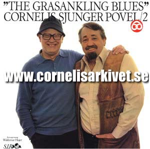 Omslag/Foto: Ulf Castelius/Bjrn Dawidsson